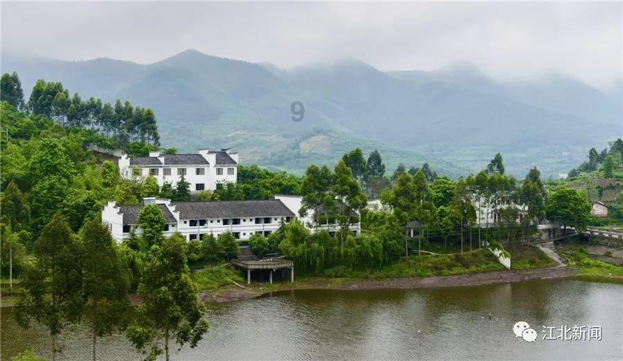 扶摇：当德王和长孙无极在对峙的时候为什么德王会故意输给长孙无极呢？游戏画面