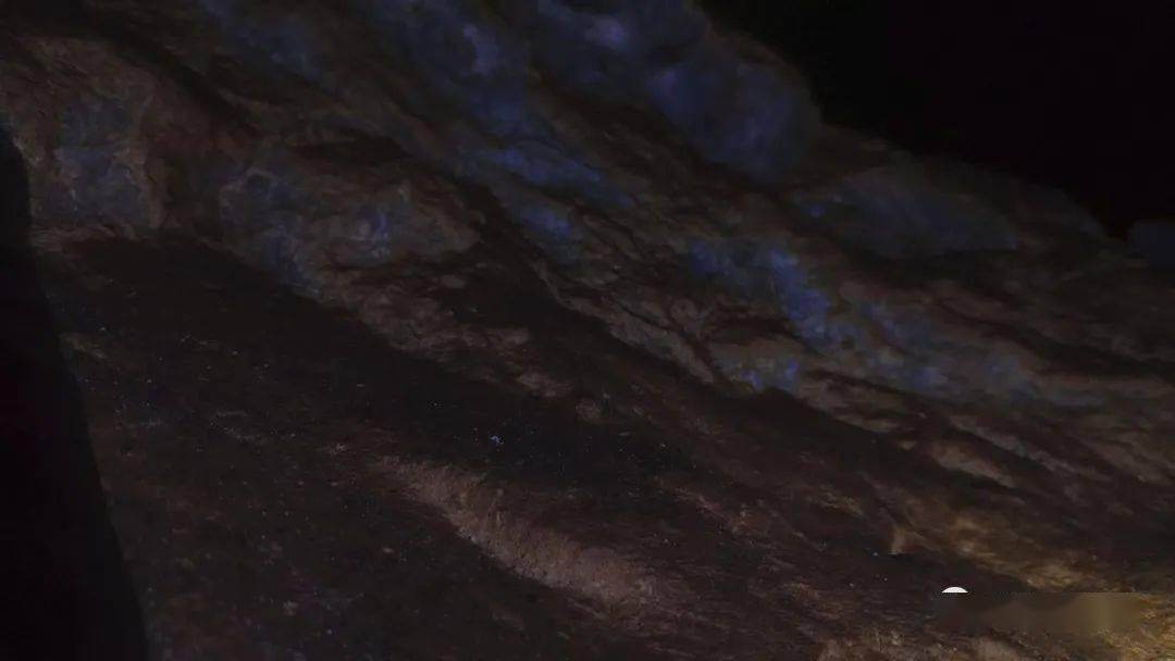 矿工打地鼠