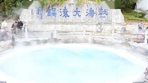 解救野生狐狸